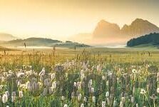 九游门户下载游戏-九游门户，轻松启程 游戏世界无限探索