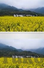 钻石鱼乐鱼乐体育-钻石鱼乐，鱼乐体育的趣味与实践
